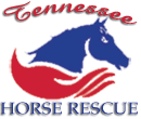 Tennessee Horse Rescue